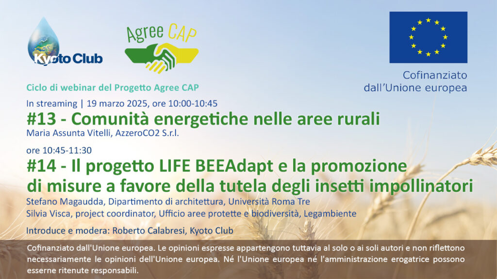 locandina webinar 19 marzo 